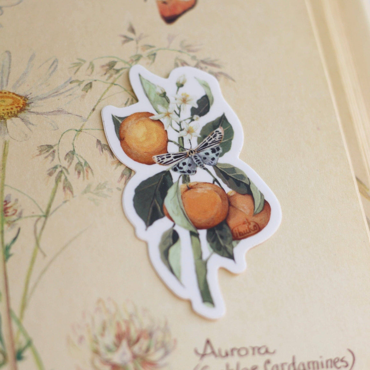 Orange Branch Sticker