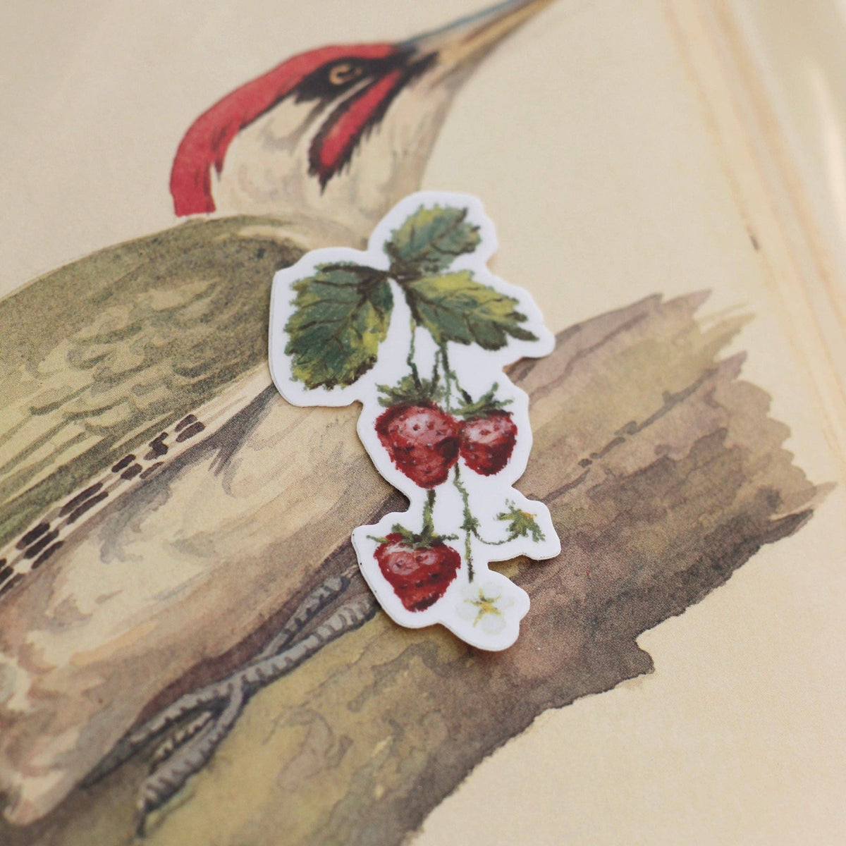Strawberry Sticker