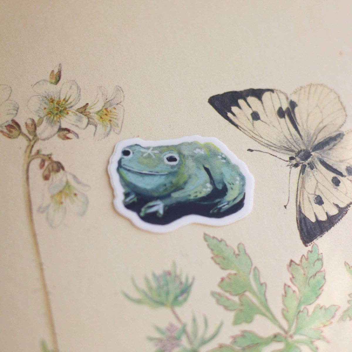 Baby Toad Sticker