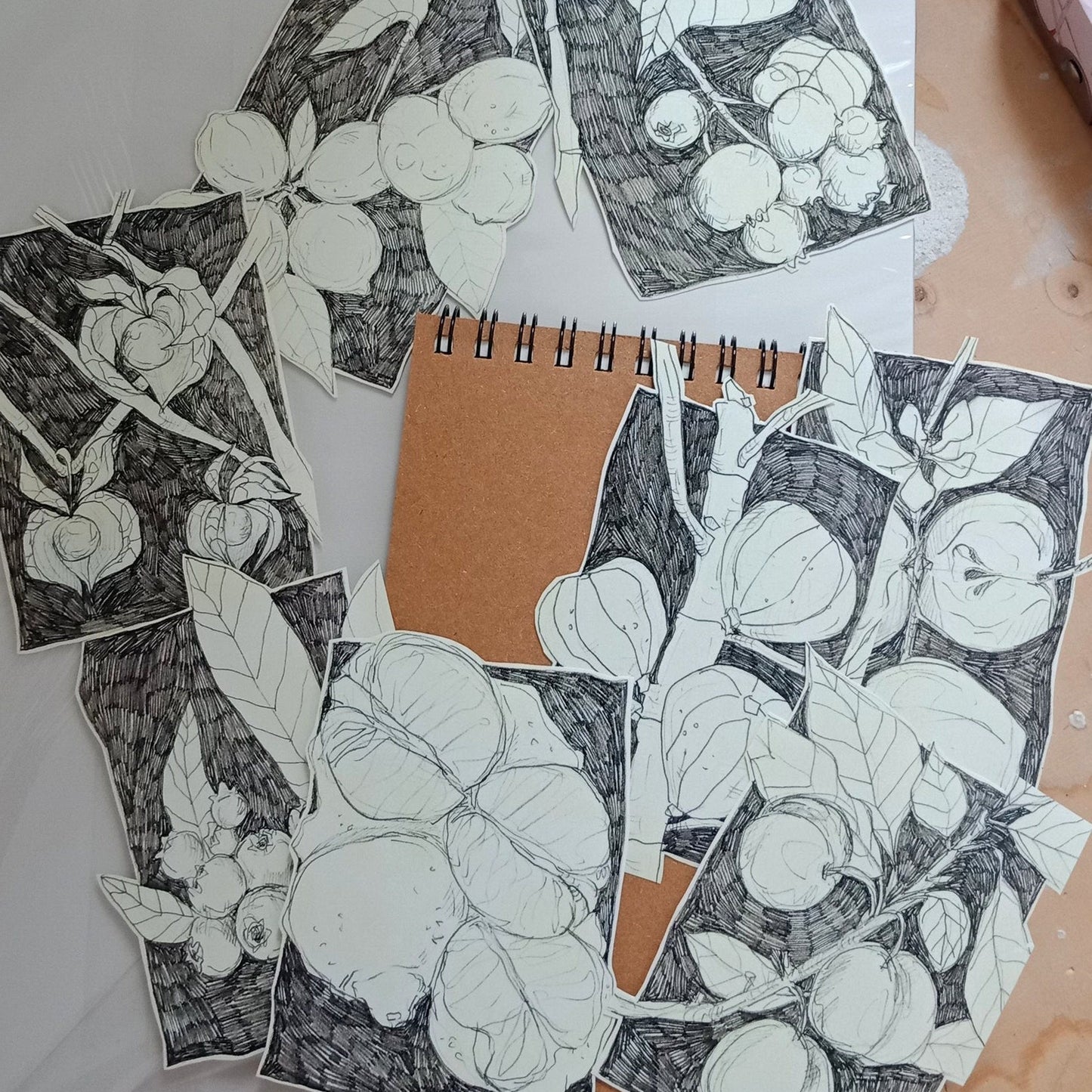 Pencil Botanical Berry Illustration Sticker II