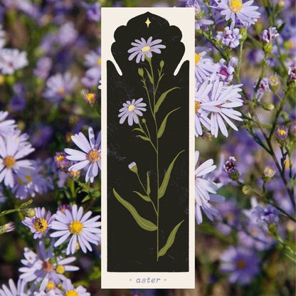September Birth Flower - Aster Bookmark