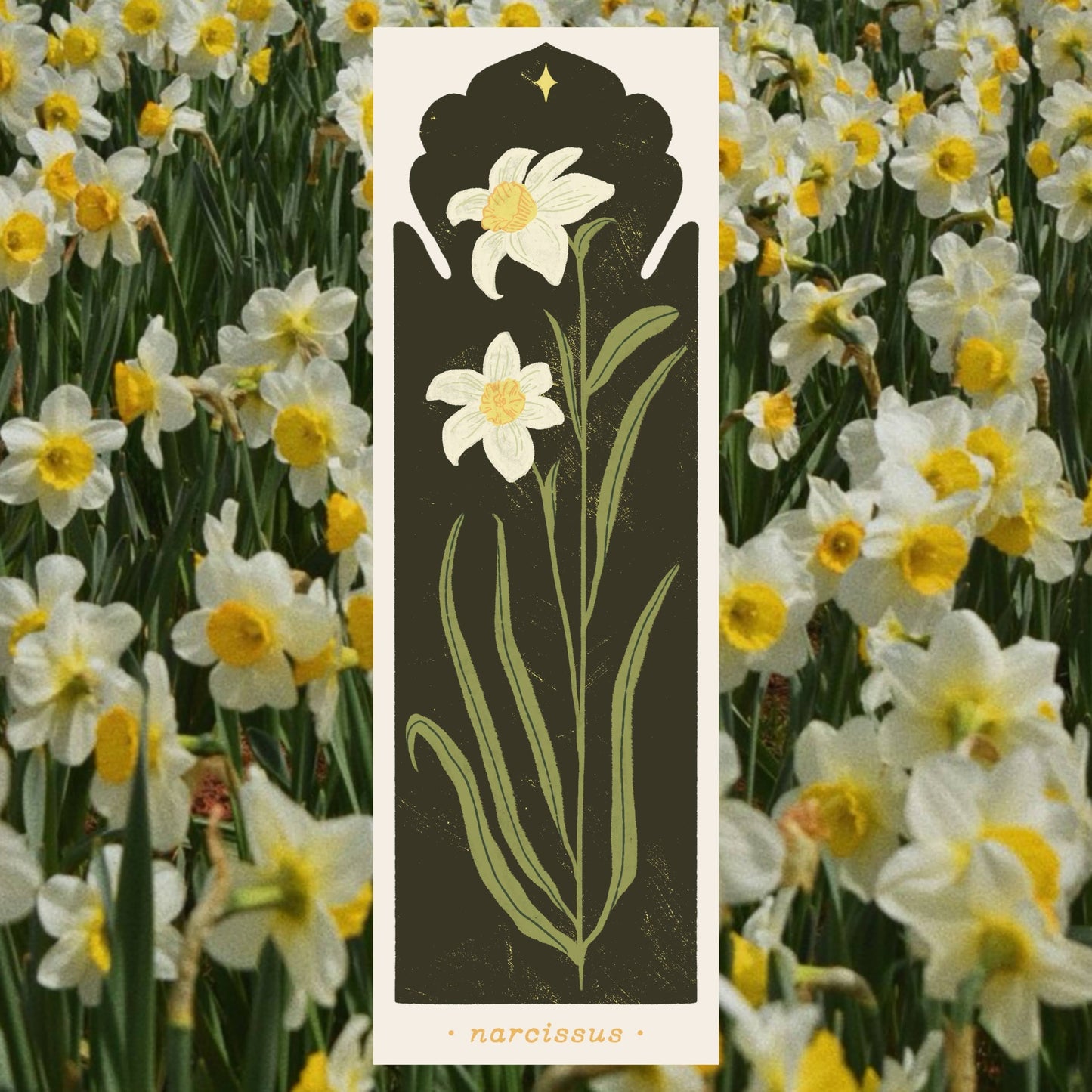 December Birth Flower - Narcissus Bookmark