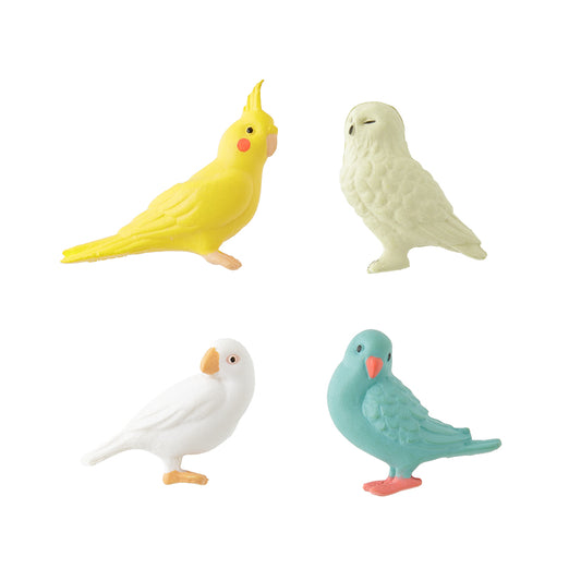 Mini Magnets Birds