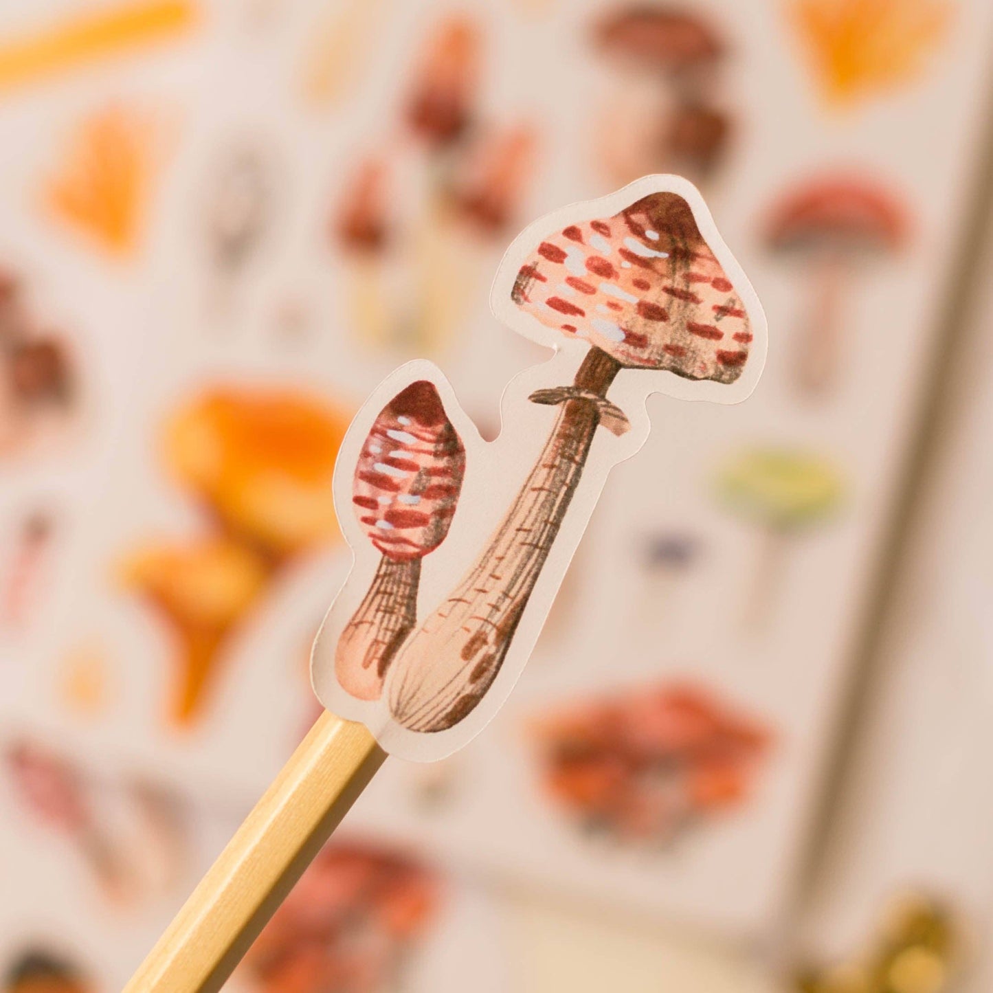 Mushrooms Sticker Sheet
