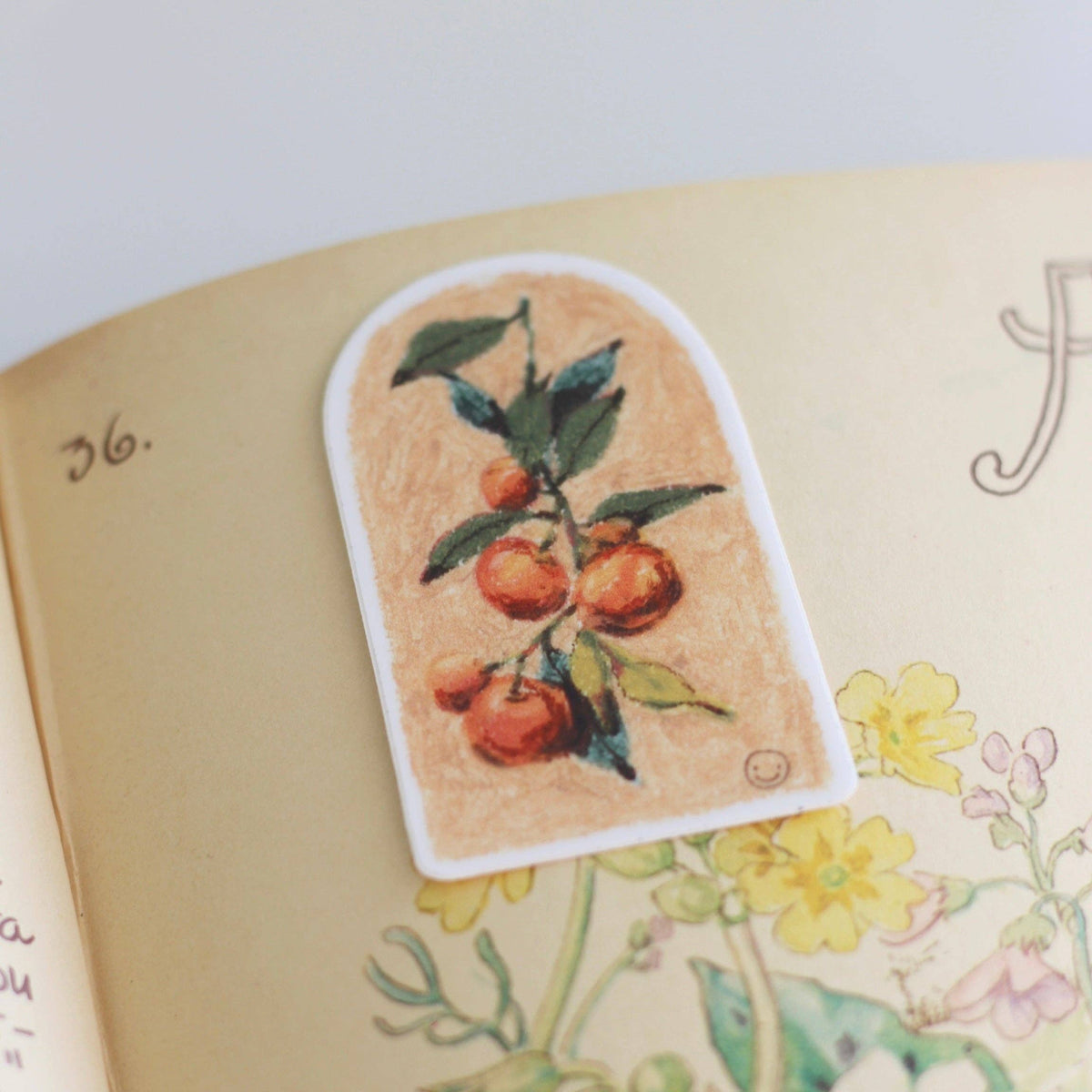 Orange Arch Sticker