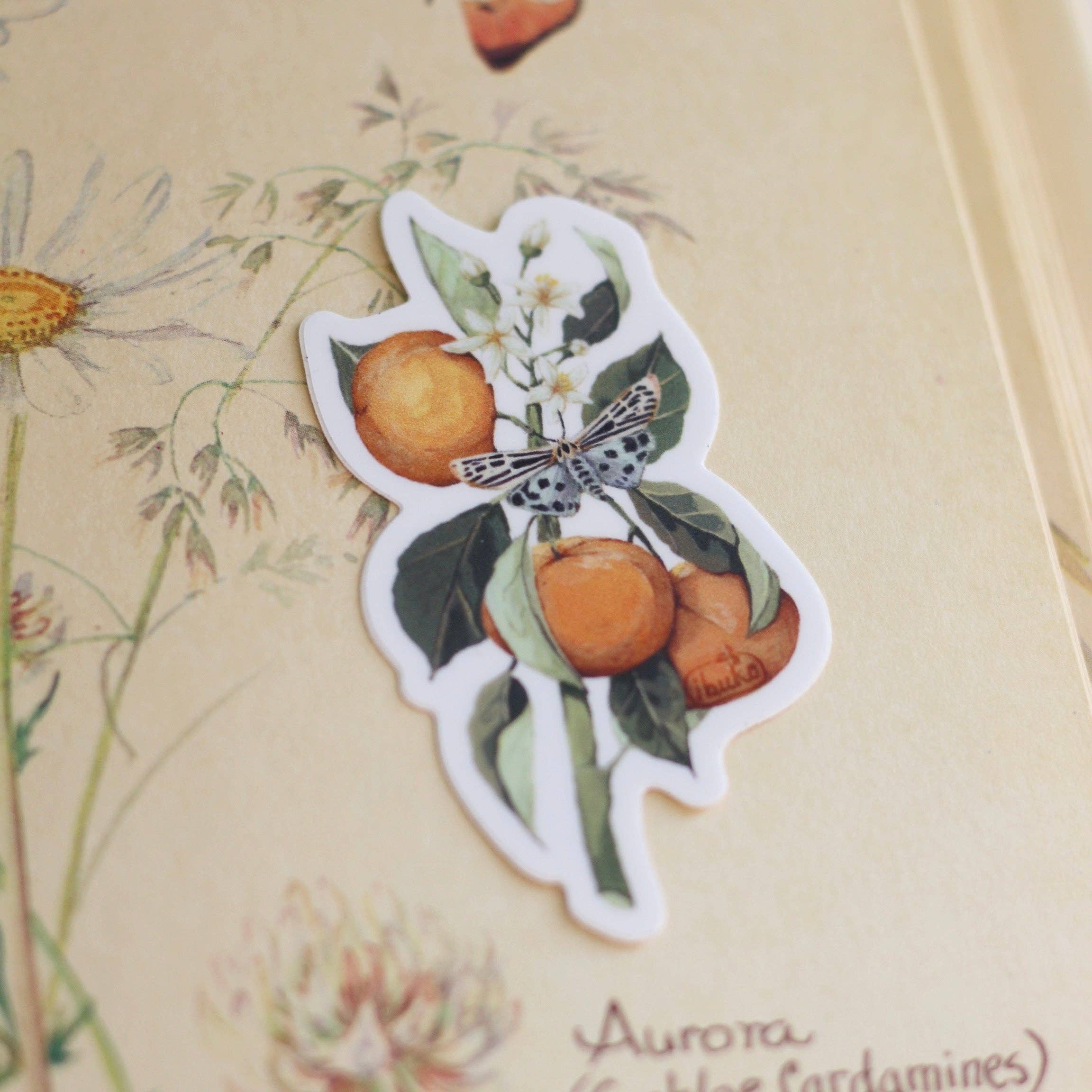 Orange Branch Sticker – Cactus Crafts