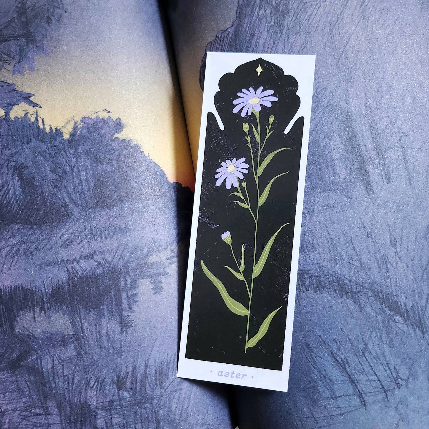 September Birth Flower - Aster Bookmark