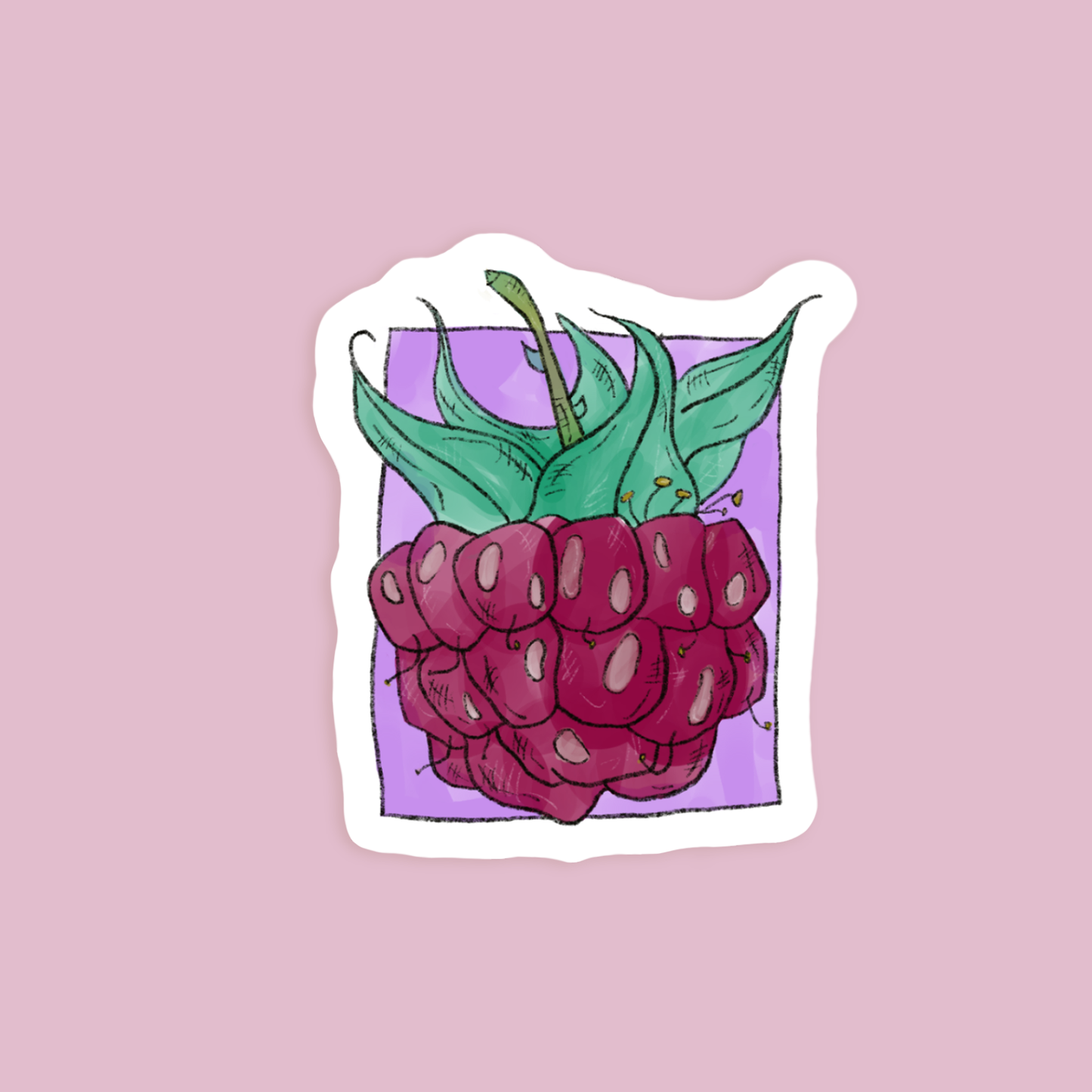Raspberry Vinyl Sticker
