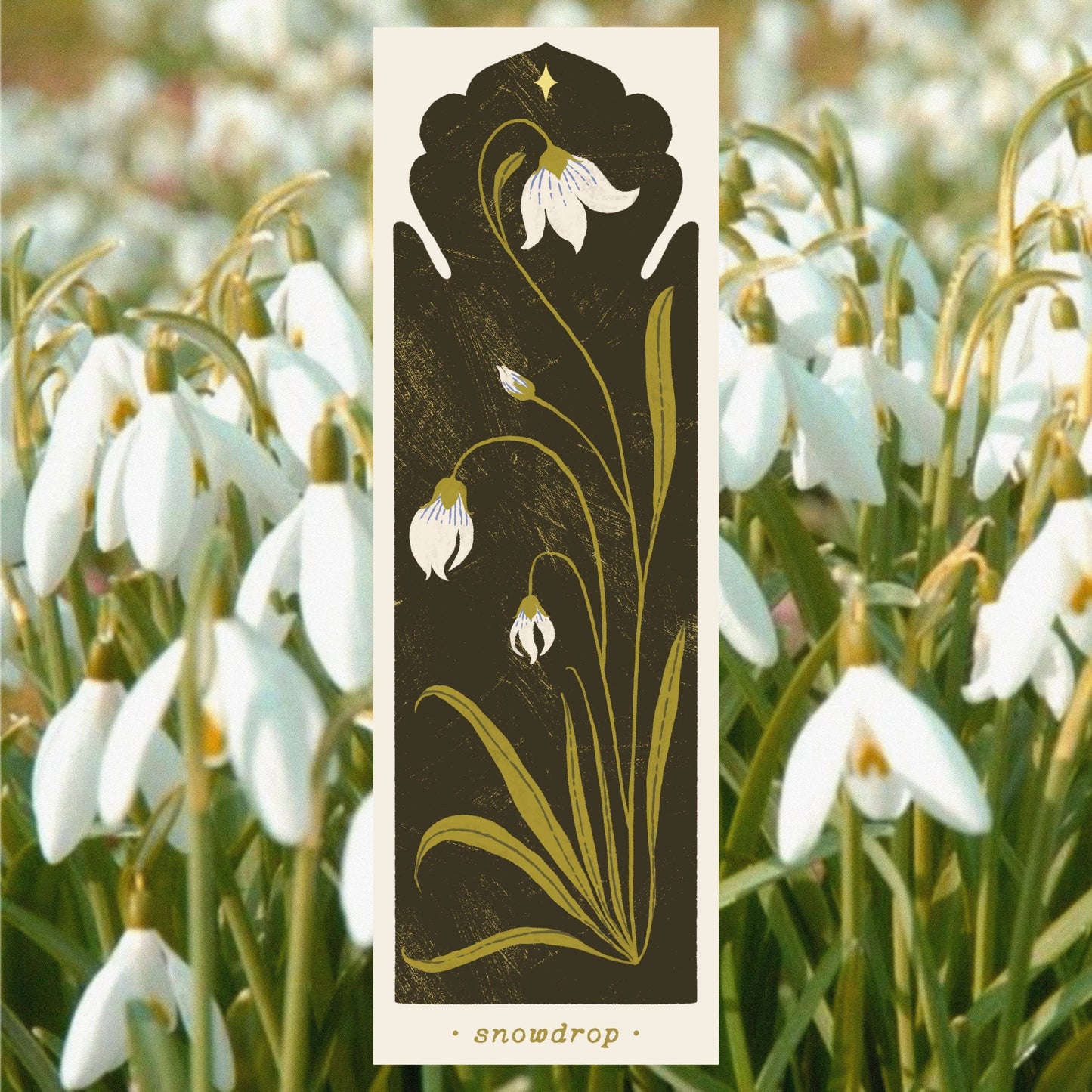 January Birth Flower -  Snowdrop Bookmark