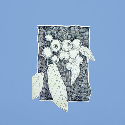 Pencil Botanical Berry Illustration Sticker II