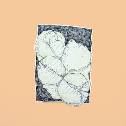 Pencil Botanical Tangerine Illustration Sticker