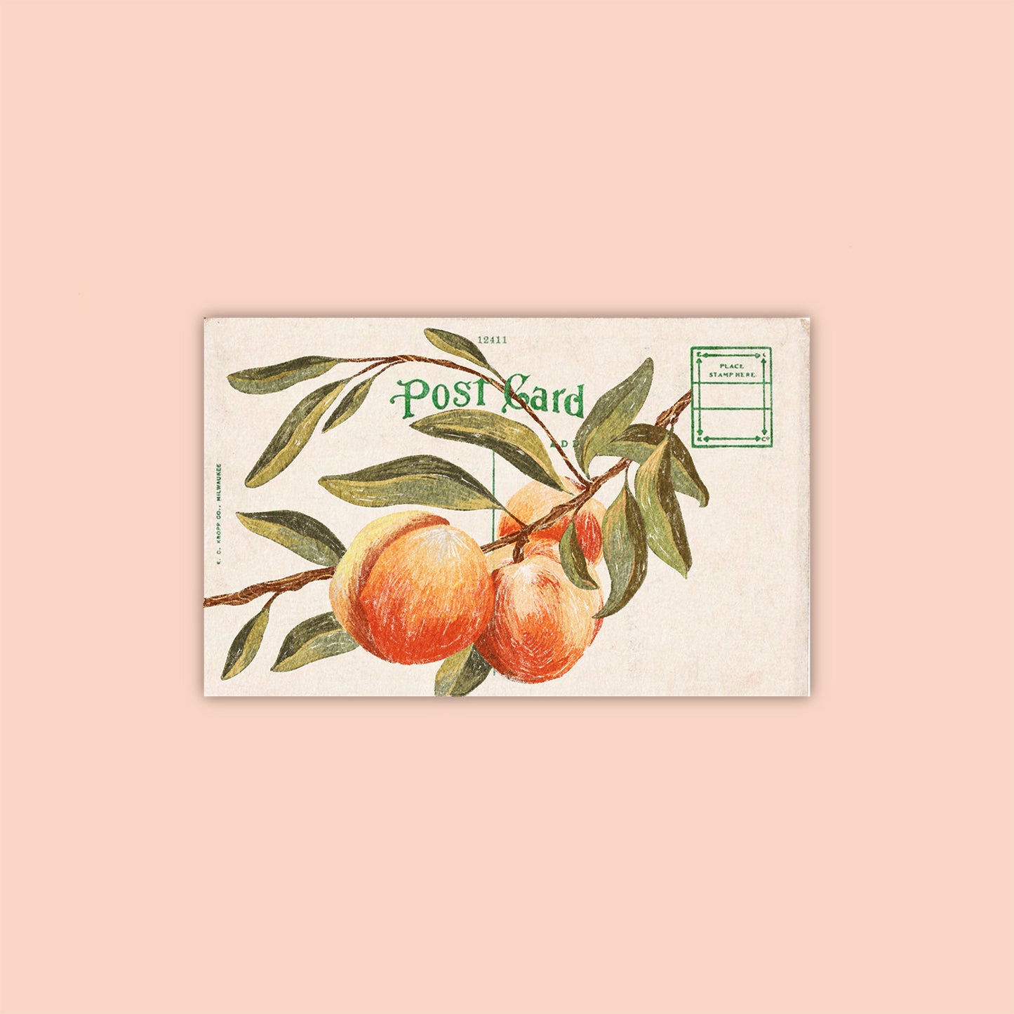 Apricot Sticker
