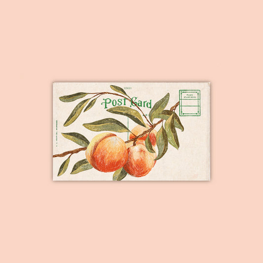 Apricot Sticker