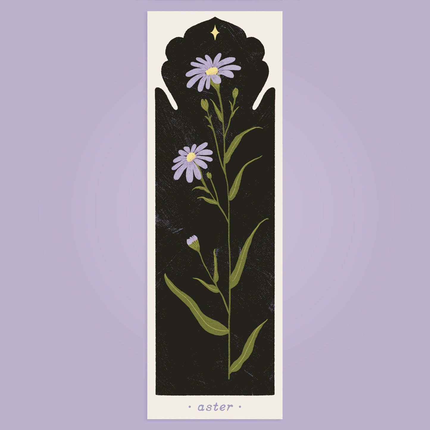 September Birth Flower - Aster Bookmark