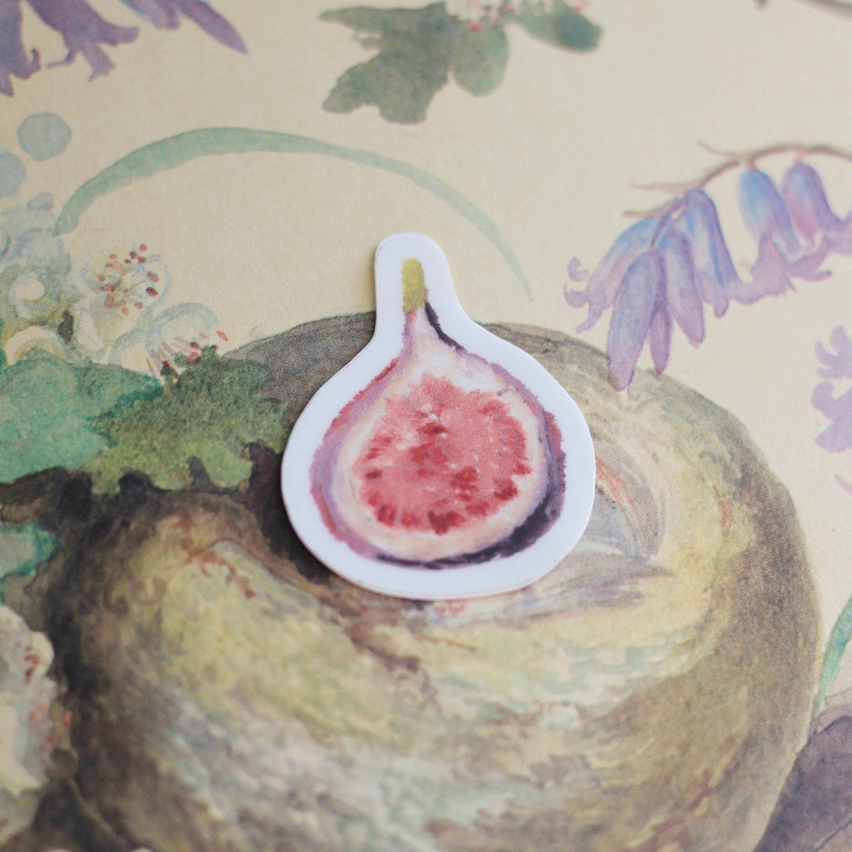 Fig Sticker