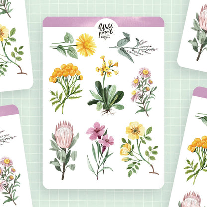 Flowers II Sticker Sheet