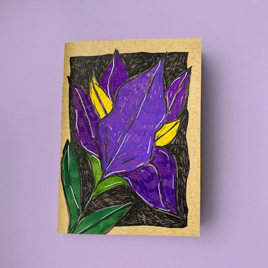 Iris botanical notebook