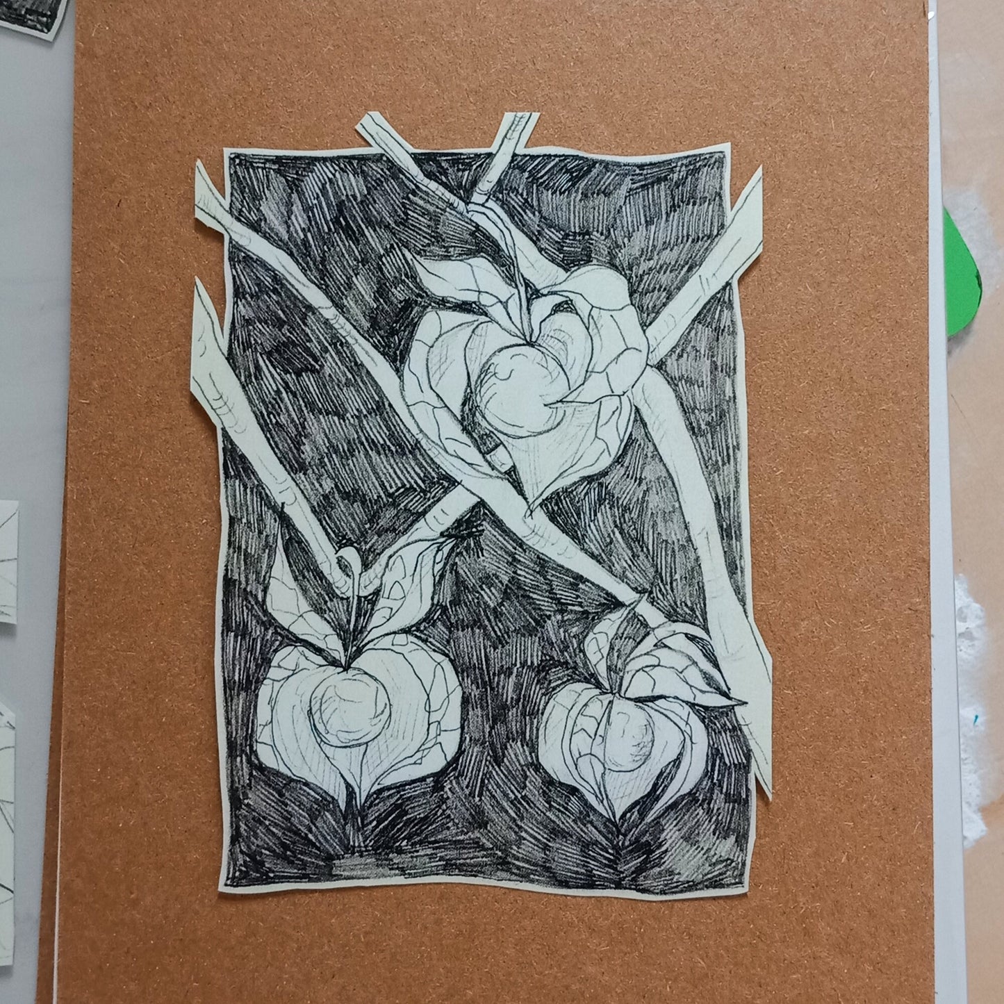 Pencil Botanical Goldenberry Illustration Sticker