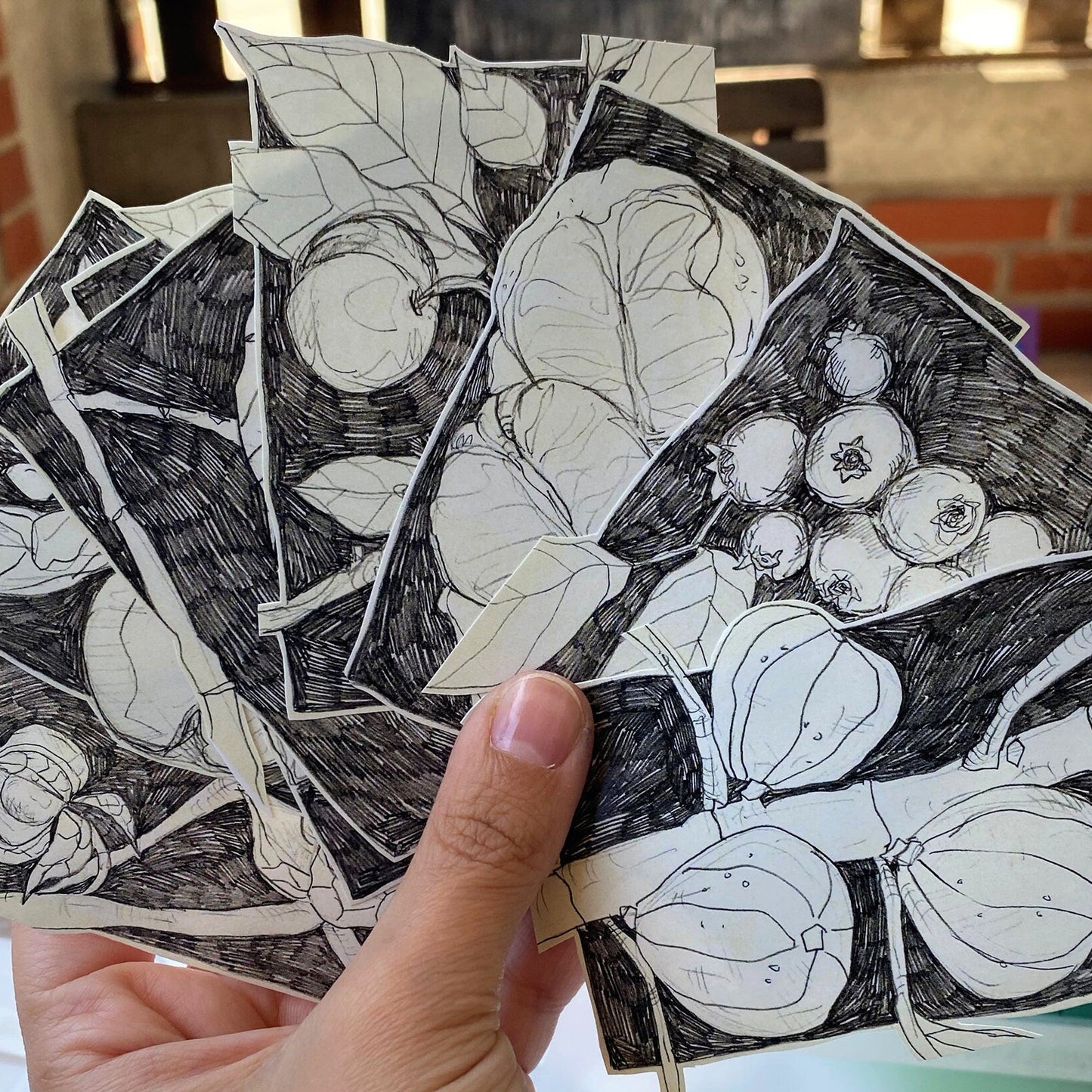 Pencil Botanical Apple Illustration Sticker