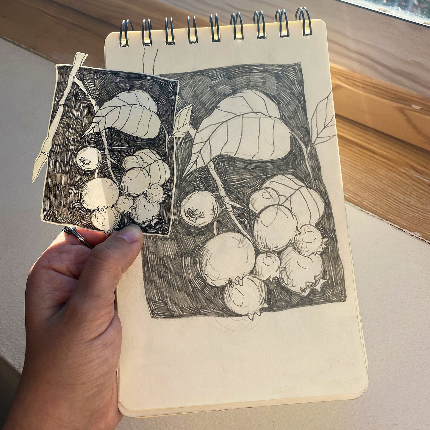 Pencil Botanical Berry Illustration Sticker