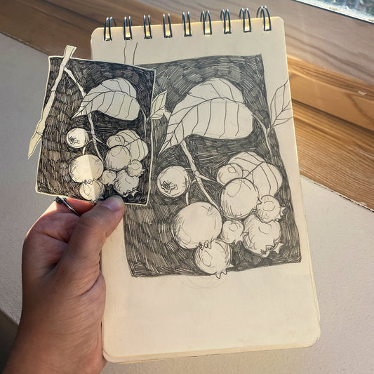 Pencil Botanical Berry Illustration Sticker