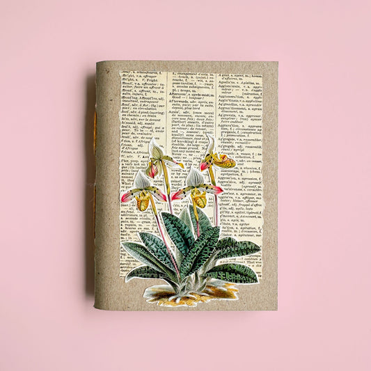 Orchid botanical notebook VI