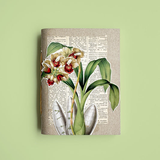 Orchid botanical notebook VIII