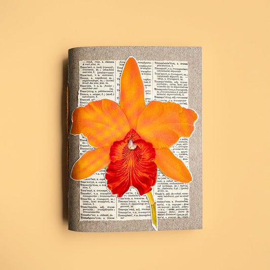 Orchid botanical notebook VII