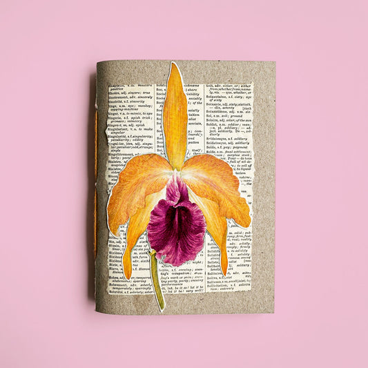 Orchid botanical notebook V