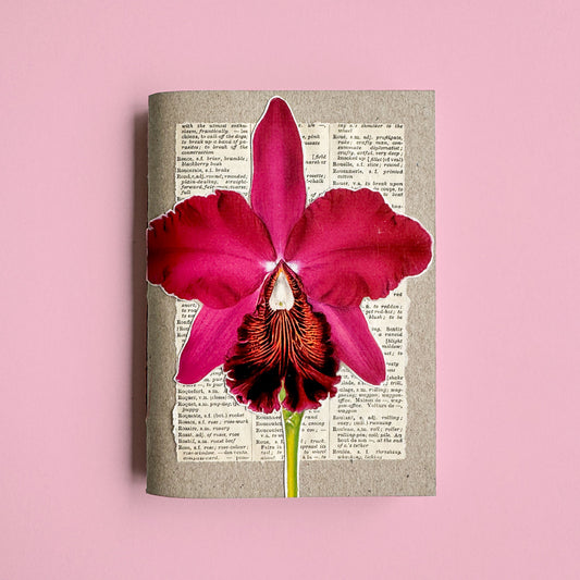 Orchid botanical notebook IV
