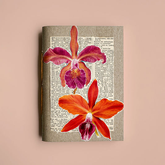 Orchid botanical notebook III