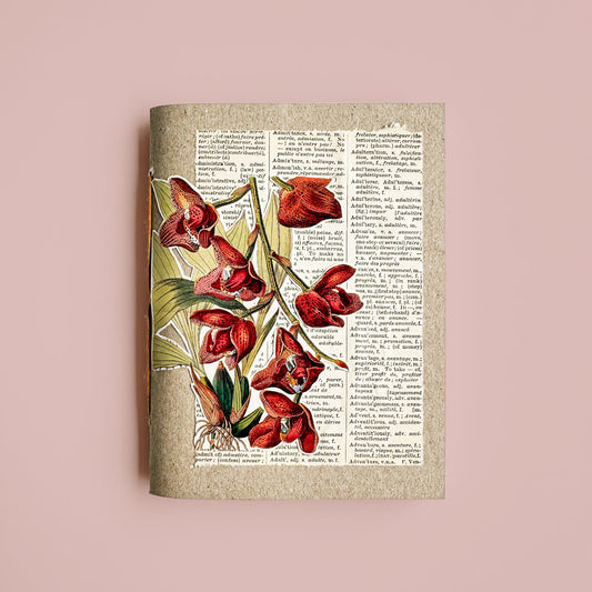 Orchid botanical notebook II
