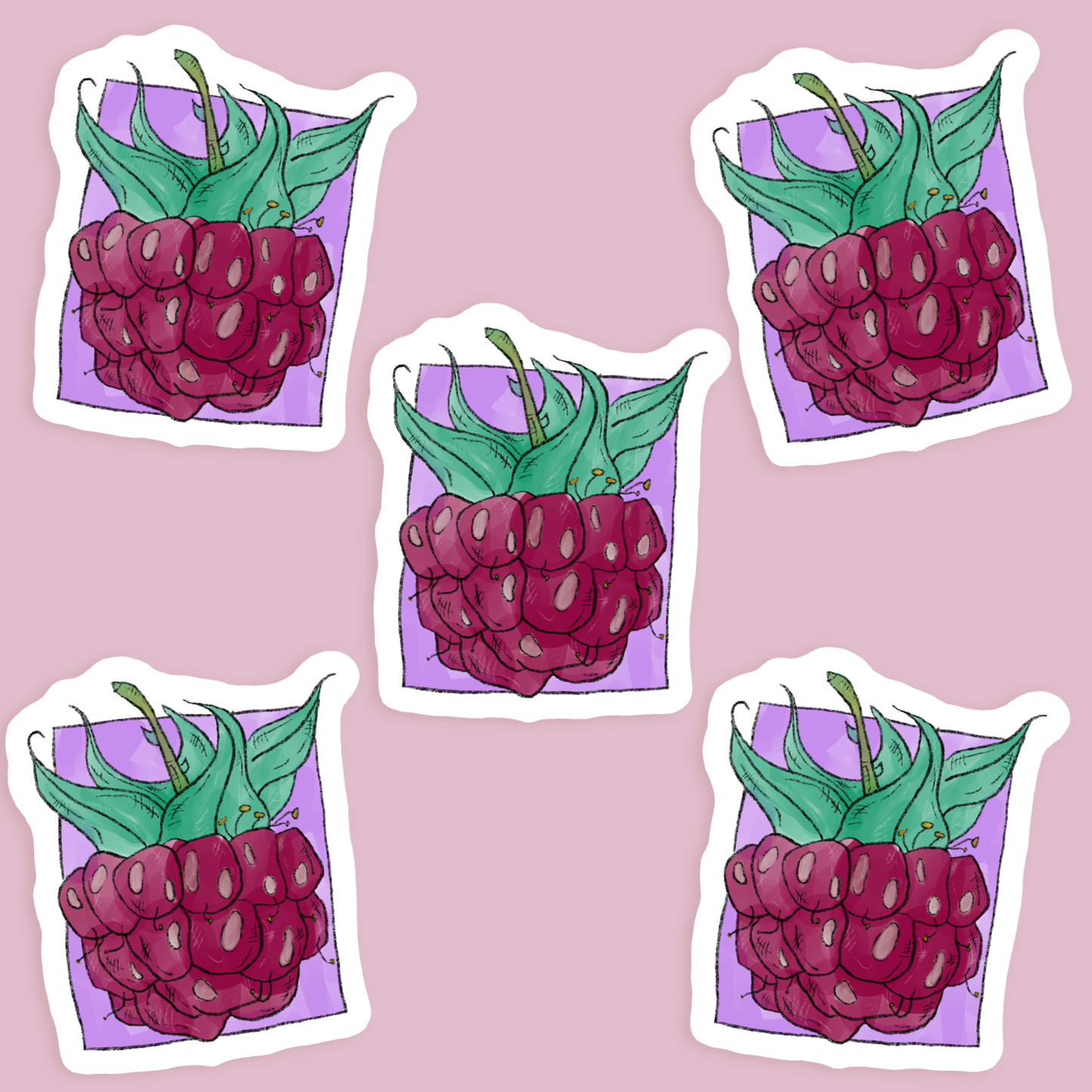Raspberry Vinyl Sticker